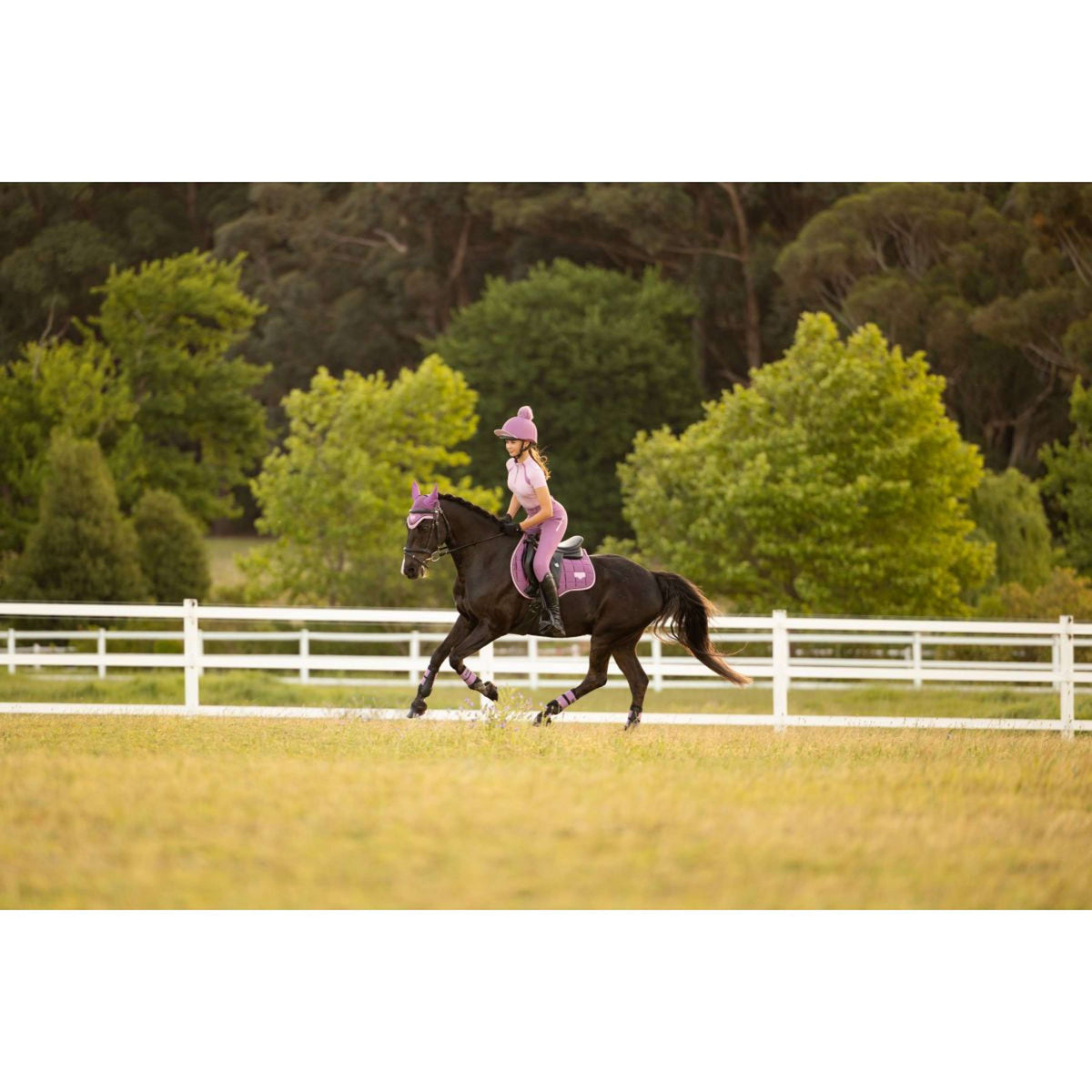 LeMieux Tapis de Selle Loire Classic Square Polyvalent Mallow