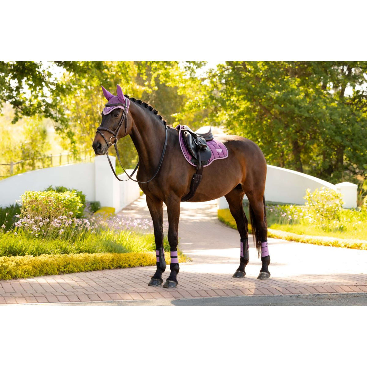 LeMieux Tapis de Selle Loire Classic Square Polyvalent Mallow