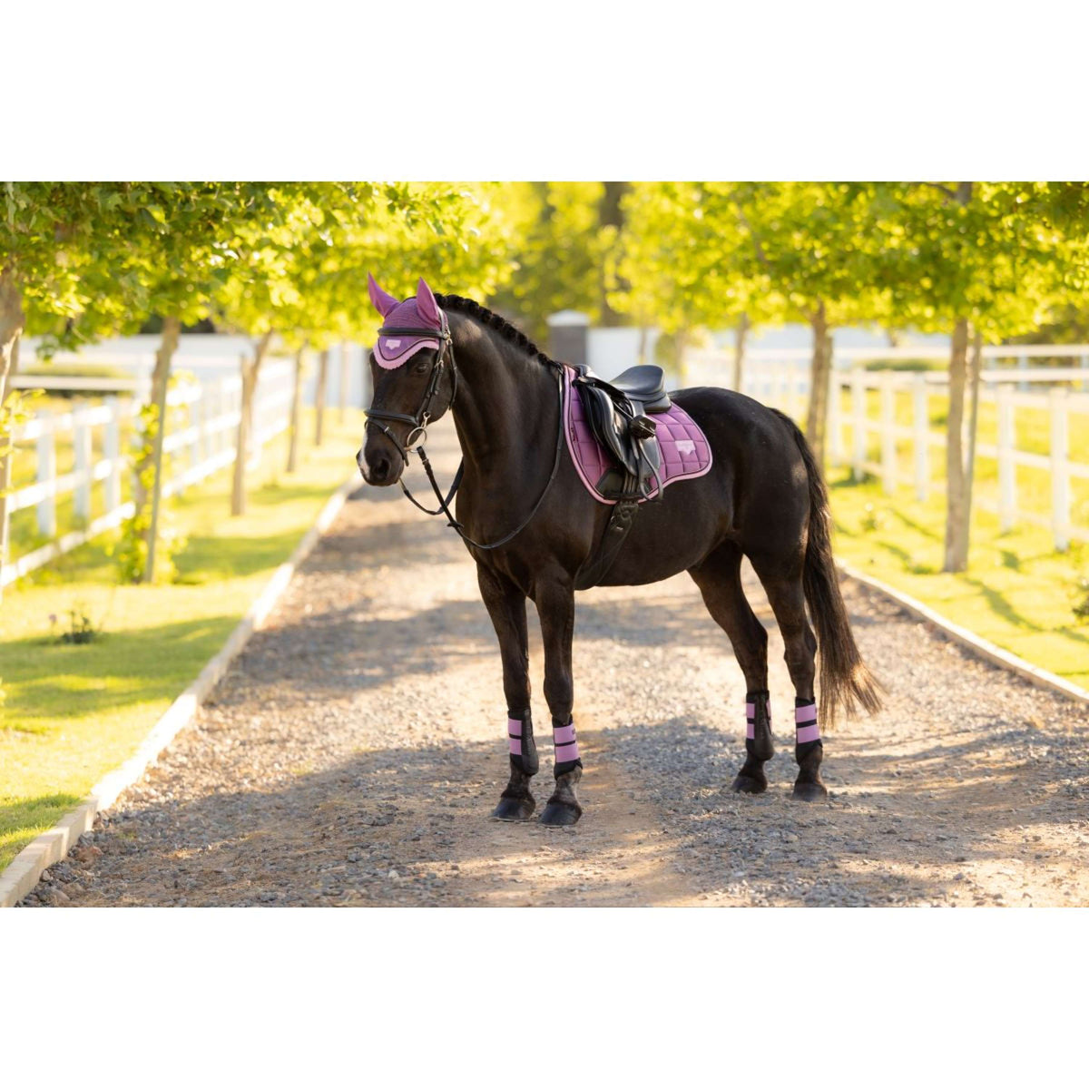 LeMieux Tapis de Selle Loire Classic Square Polyvalent Mallow