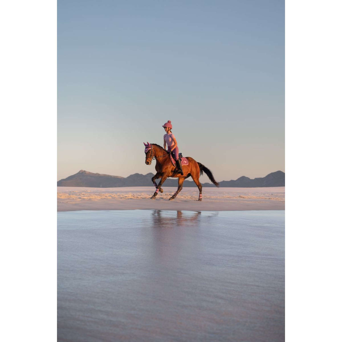 LeMieux Tapis de Selle Loire Classic Square Polyvalent Mallow