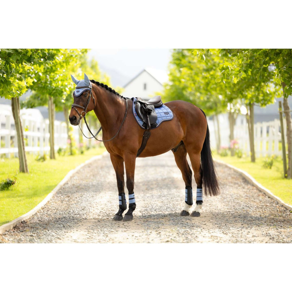 LeMieux Tapis de Selle Loire Classic Square Polyvalent Powder Blue