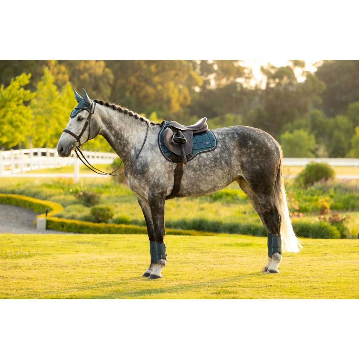 LeMieux Tapis de Selle Loire Classic Square Polyvalent Jungle