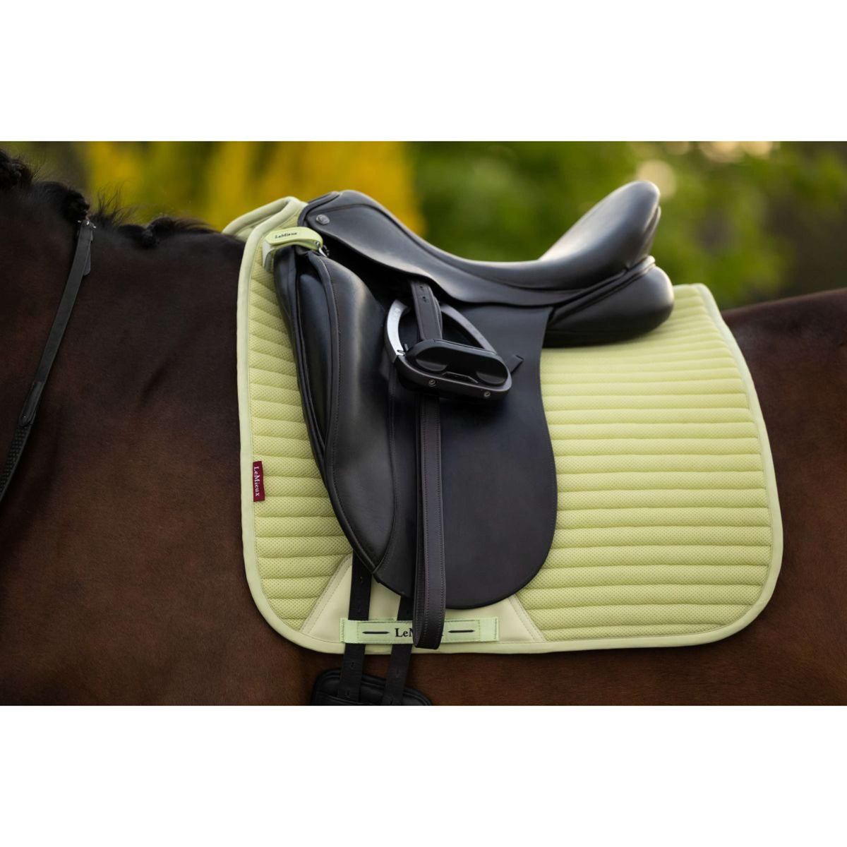 LeMieux Tapis de Selle Air-Tek Mesh Square Dressage Macaron