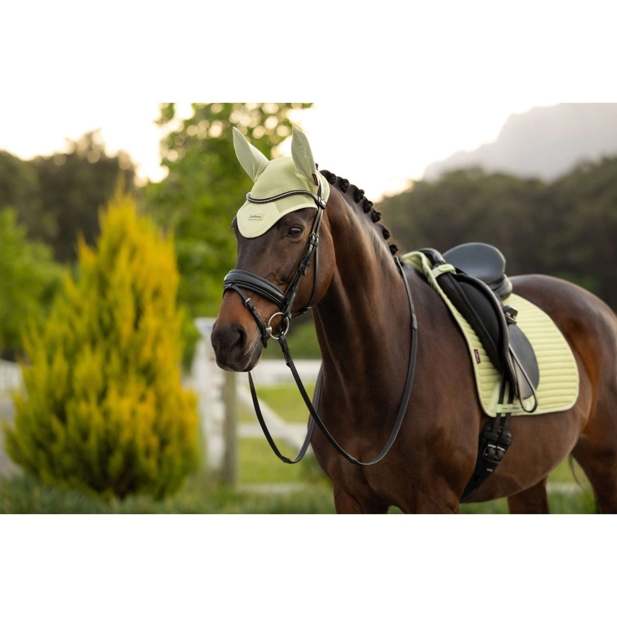 LeMieux Bonnet Anti-Mouches Air-Tek Mesh Macaron