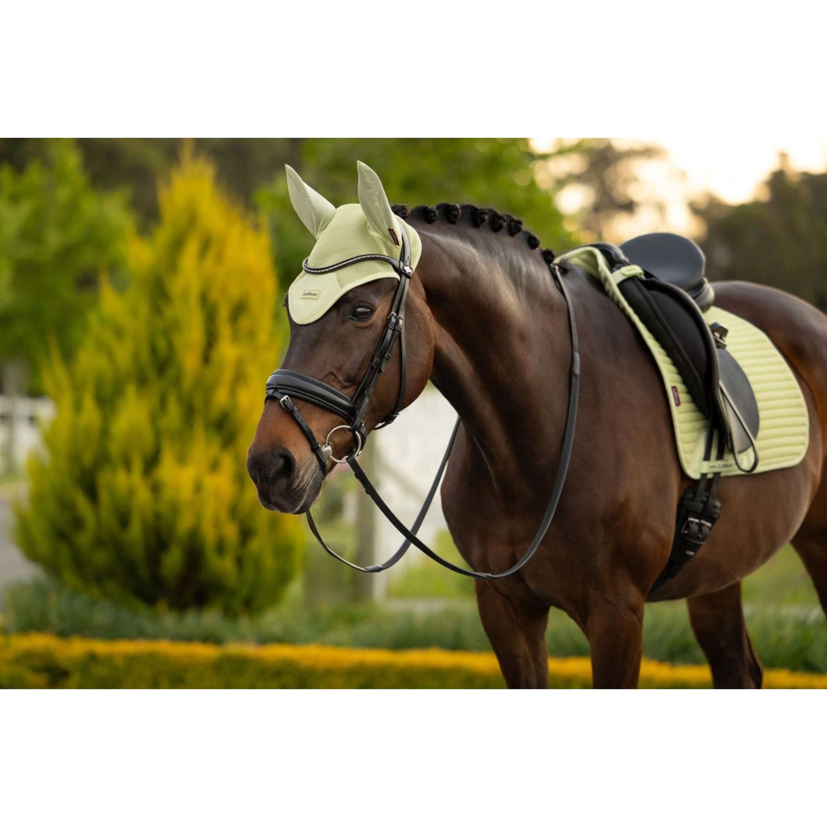 LeMieux Bonnet Anti-Mouches Air-Tek Mesh Macaron