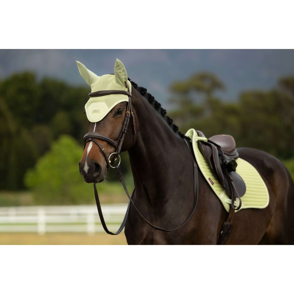 LeMieux Bonnet Anti-Mouches Air-Tek Mesh Macaron