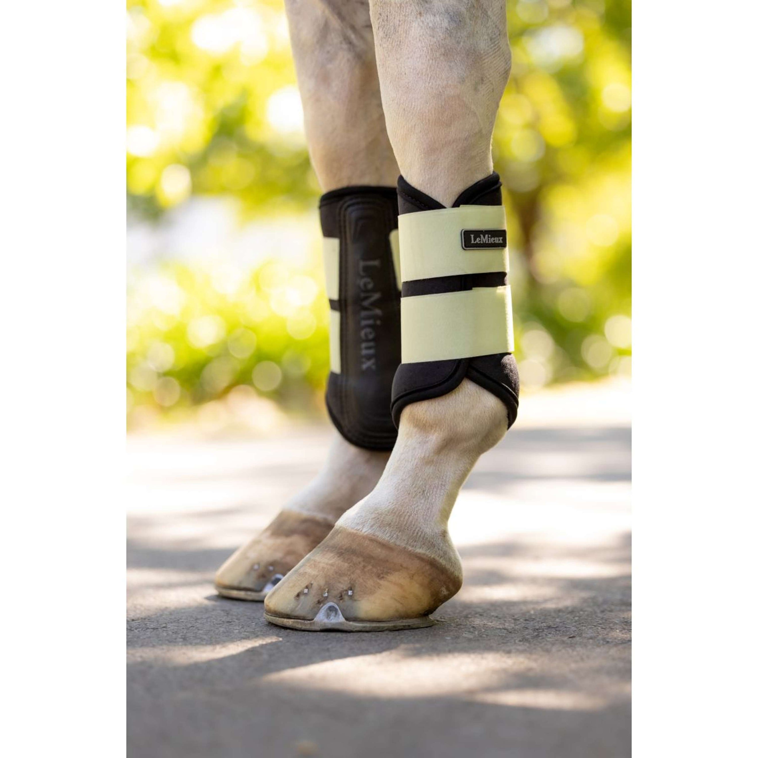 LeMieux Guêtres Air-Tek Grafter Macaron LeMieux Guêtres Air-Tek Grafter Macaron