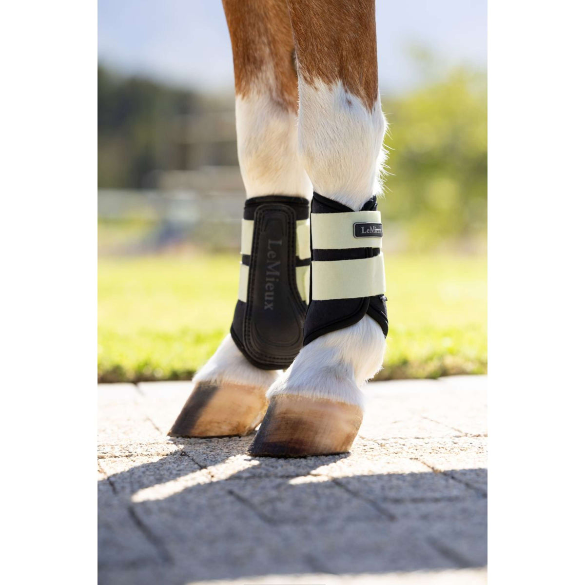 LeMieux Guêtres Mini Air-Tek Macaron