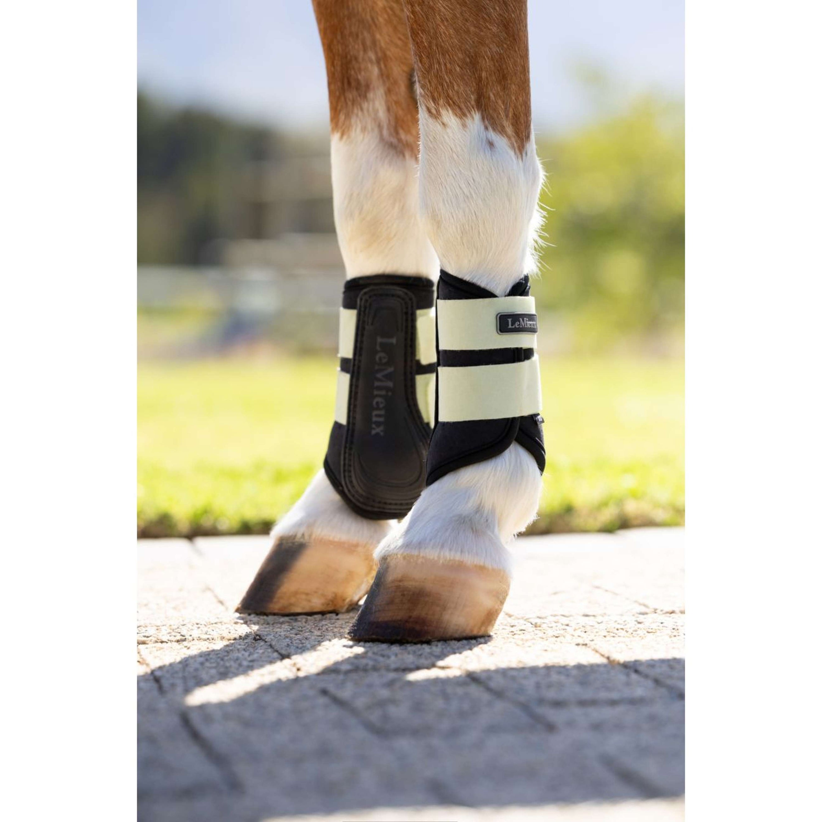 LeMieux Guêtres Mini Air-Tek Macaron LeMieux Guêtres Mini Air-Tek Macaron
