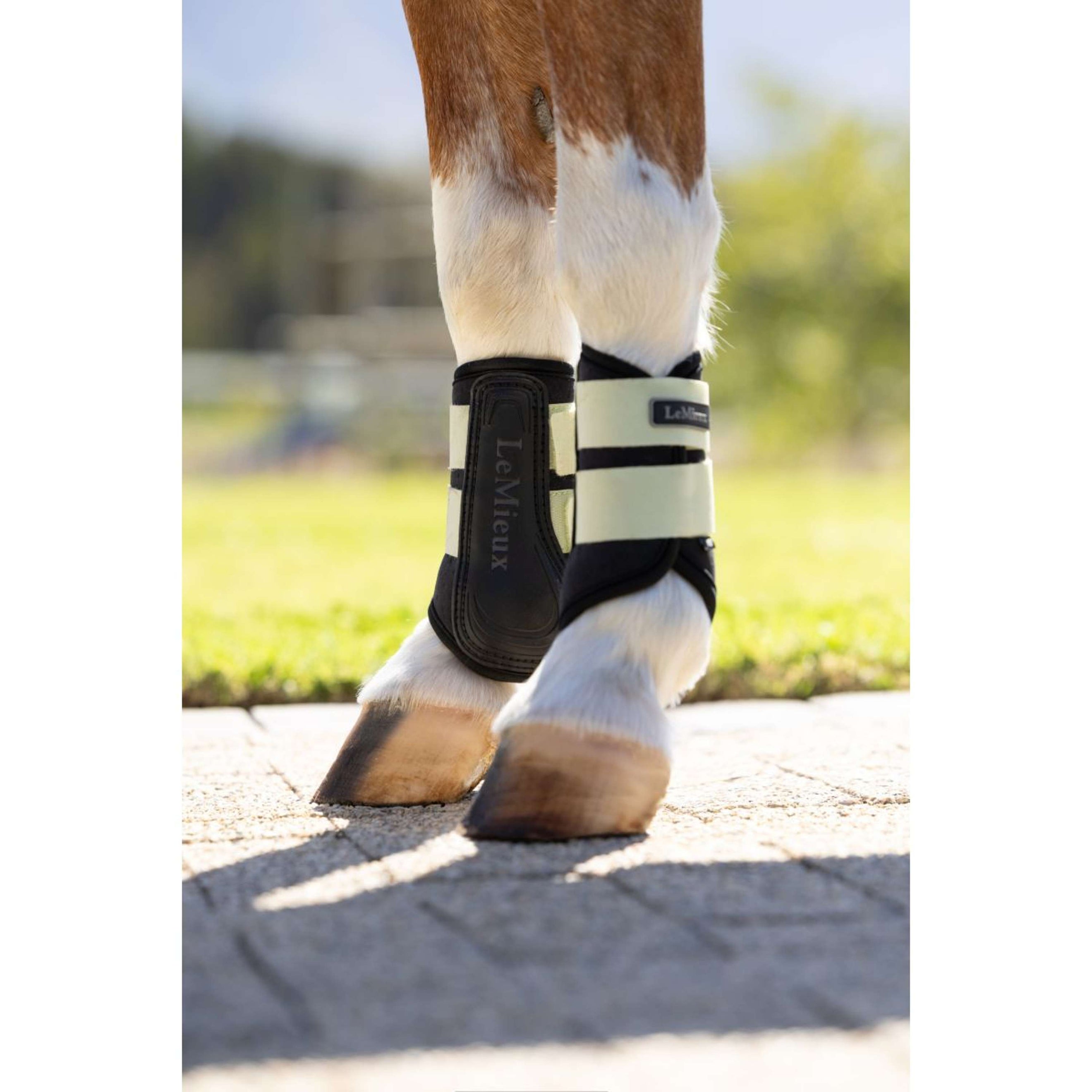 LeMieux Guêtres Mini Air-Tek Macaron