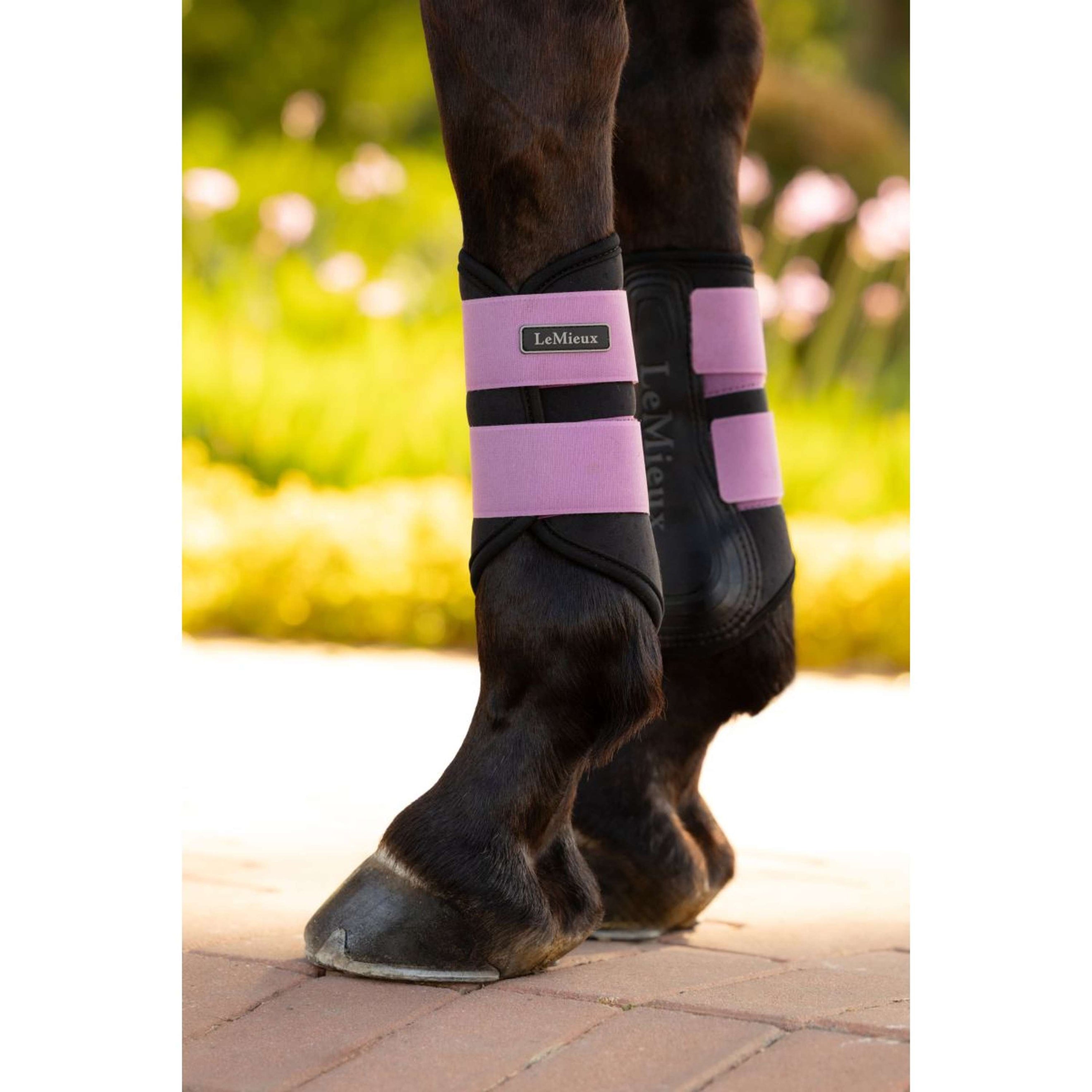 LeMieux Guêtres Air-Tek Grafter Mallow LeMieux Guêtres Air-Tek Grafter Mallow