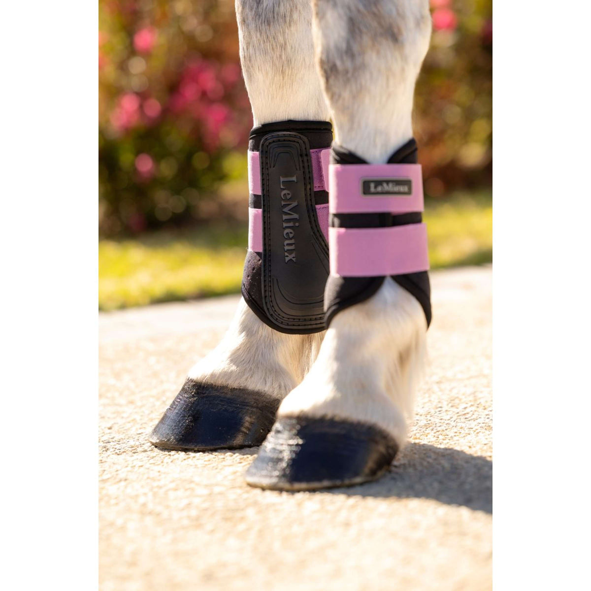 LeMieux Guêtres Mini Air-Tek Mallow