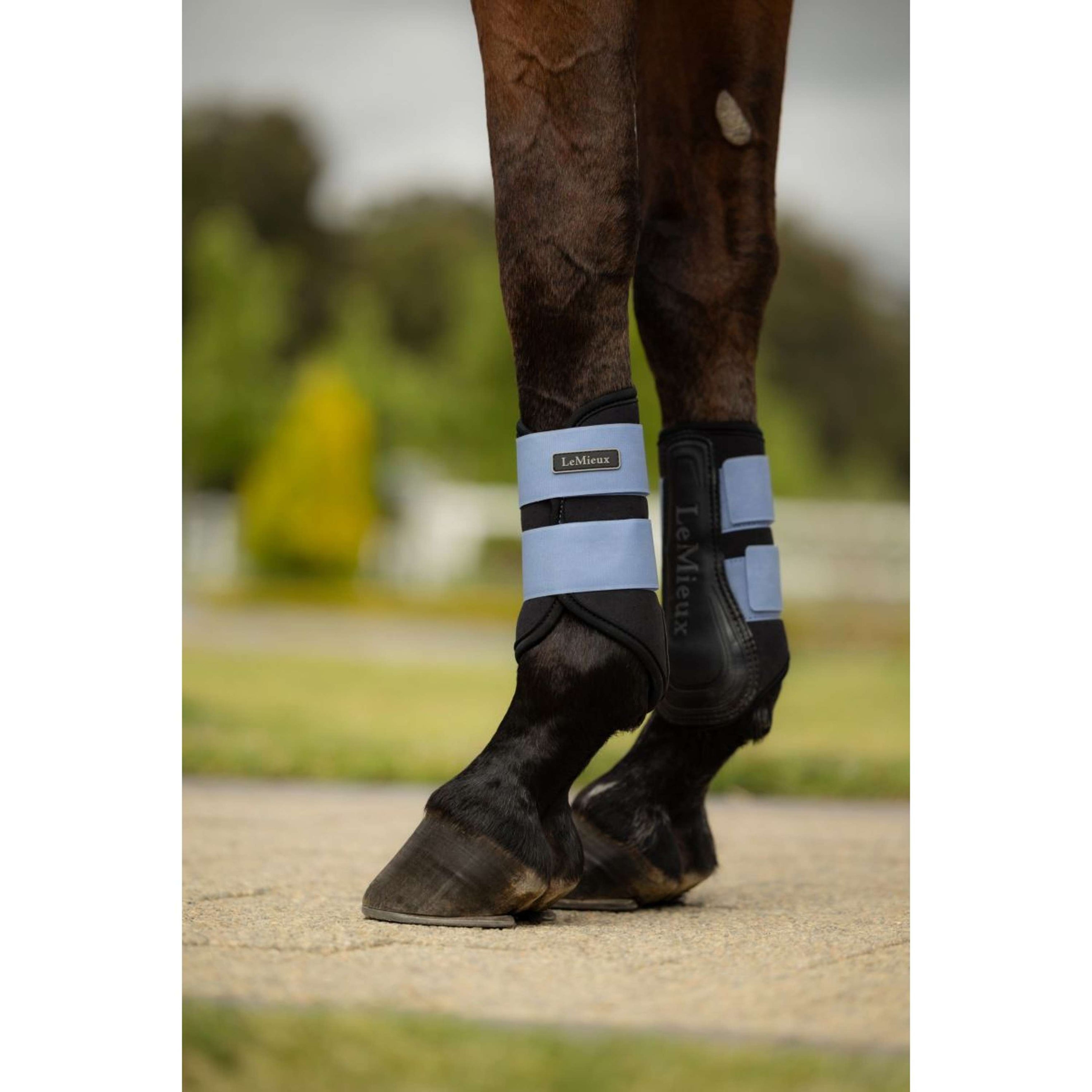 LeMieux Guêtres Air-Tek Grafter Powder Blue LeMieux Guêtres Air-Tek Grafter Powder Blue