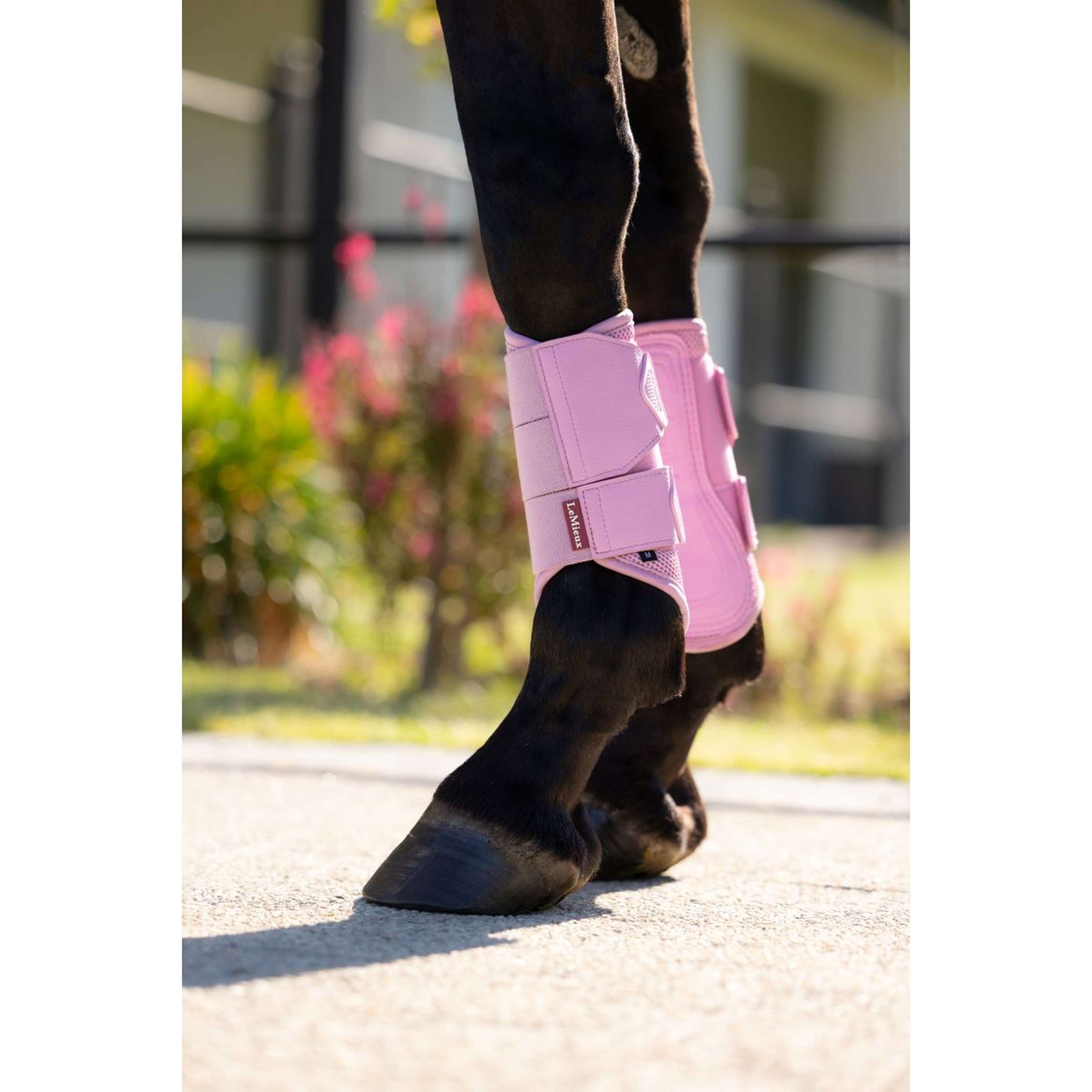 LeMieux Guêtres Arika Mesh Fondant