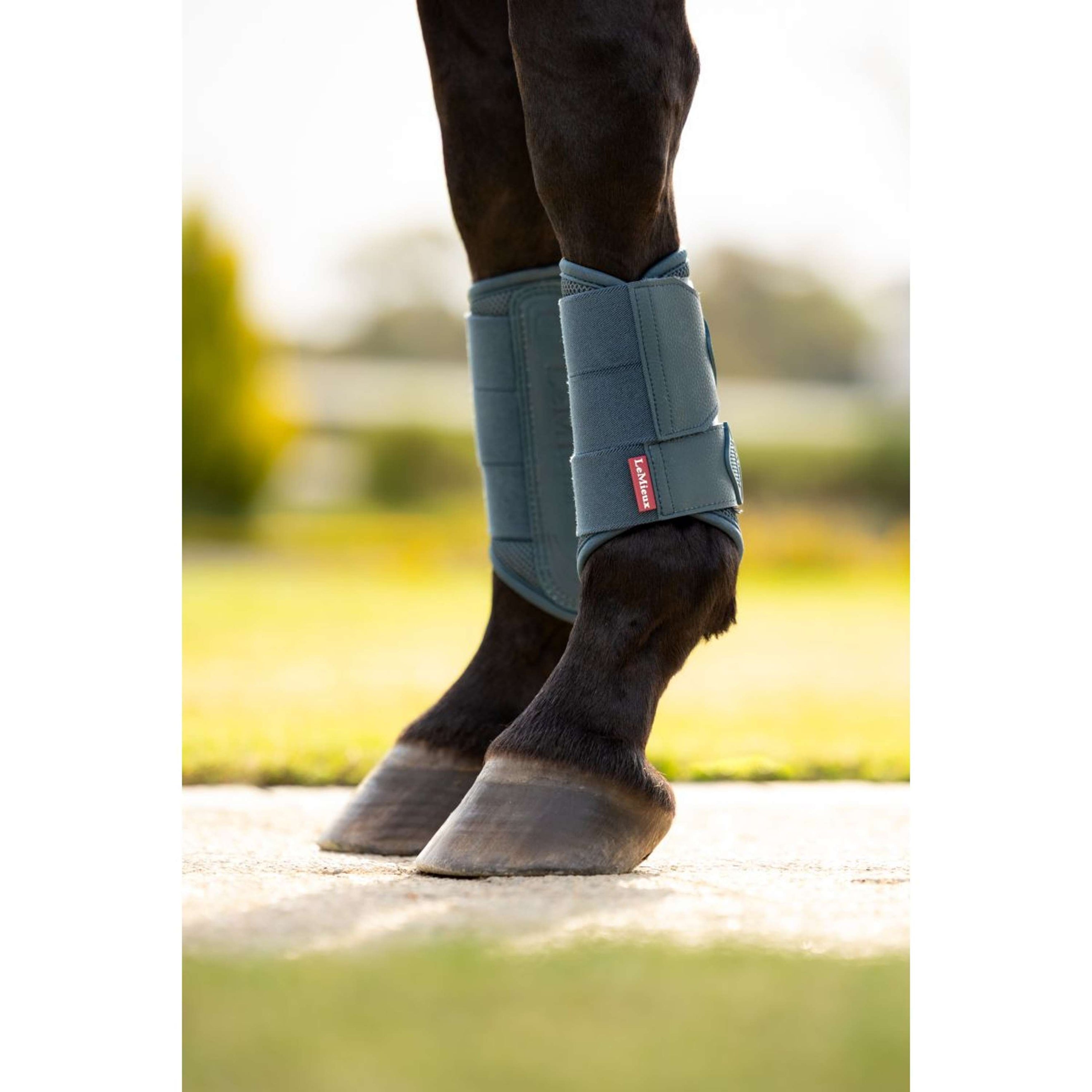 LeMieux Guêtres Arika Mesh Jungle LeMieux Guêtres Arika Mesh Jungle