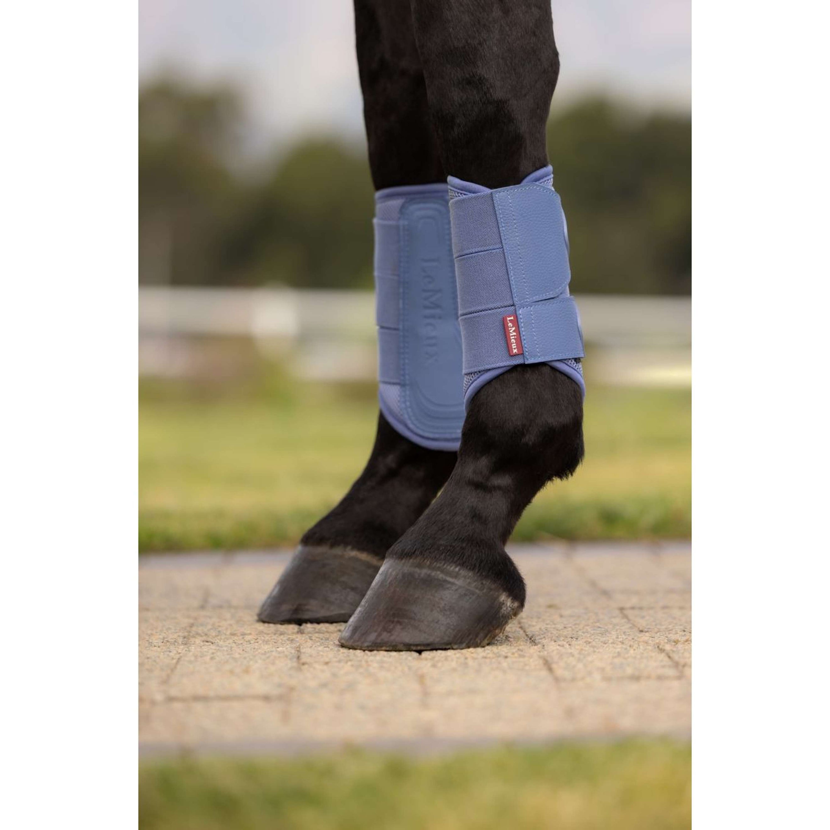 LeMieux Guêtres Arika Mesh Powder Blue