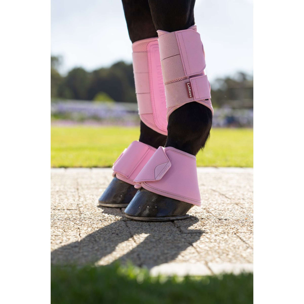 LeMieux Cloches d'Obstacles Arika Fondant