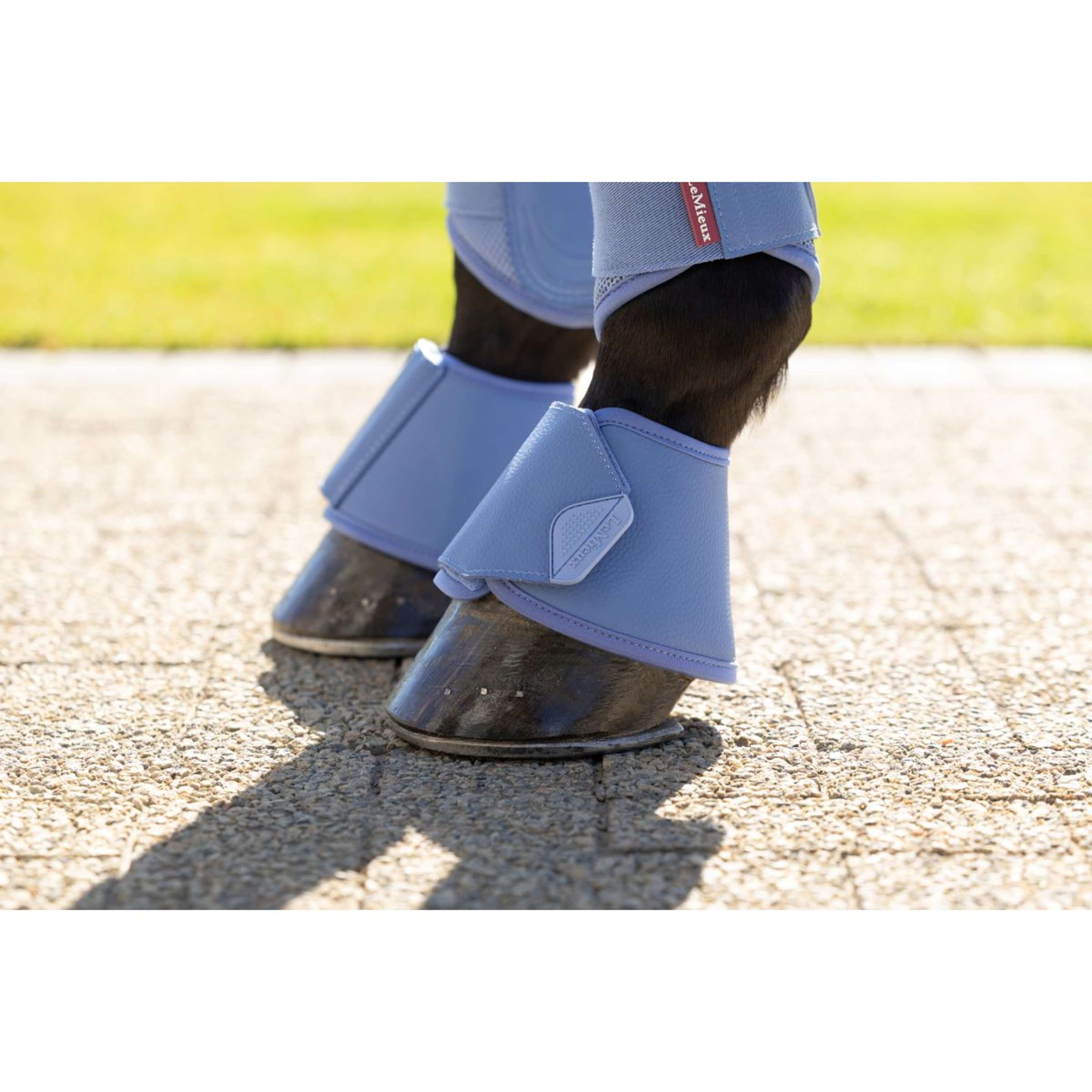 LeMieux Cloches d'Obstacles Arika Powder Blue LeMieux Cloches d'Obstacles Arika Powder Blue