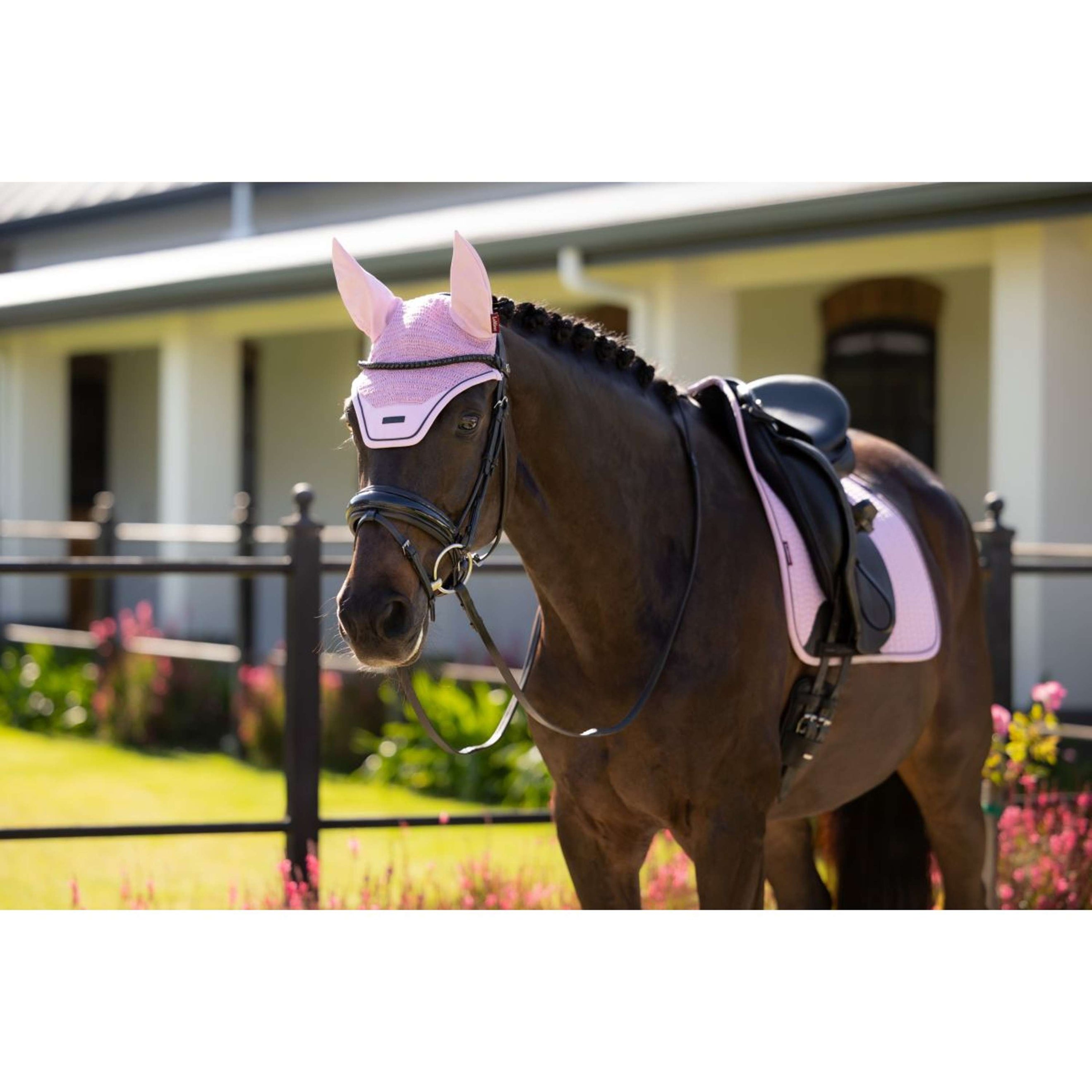 LeMieux Tapis de Selle Essence Square Dressage Fondant LeMieux Tapis de Selle Essence Square Dressage Fondant