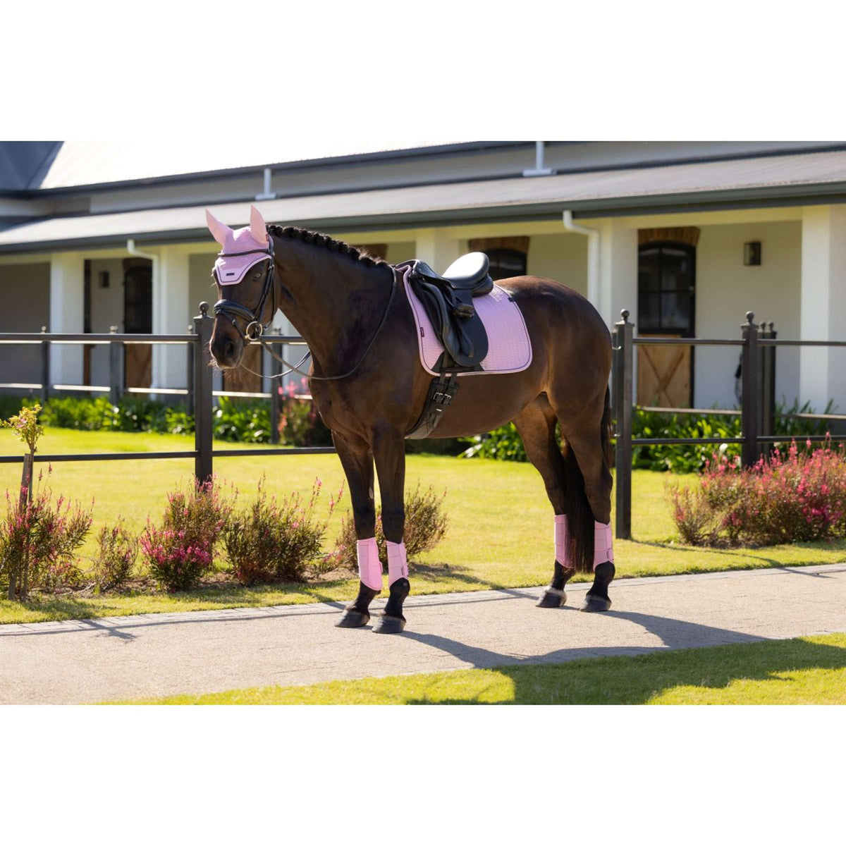 LeMieux Tapis de Selle Essence Square Dressage Fondant