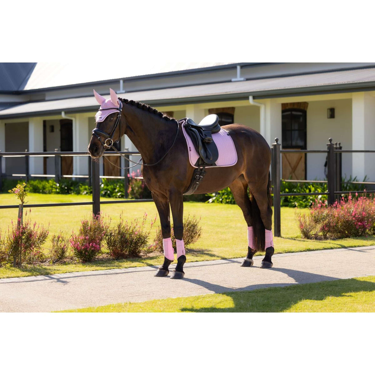 LeMieux Tapis de Selle Essence Square Dressage Fondant