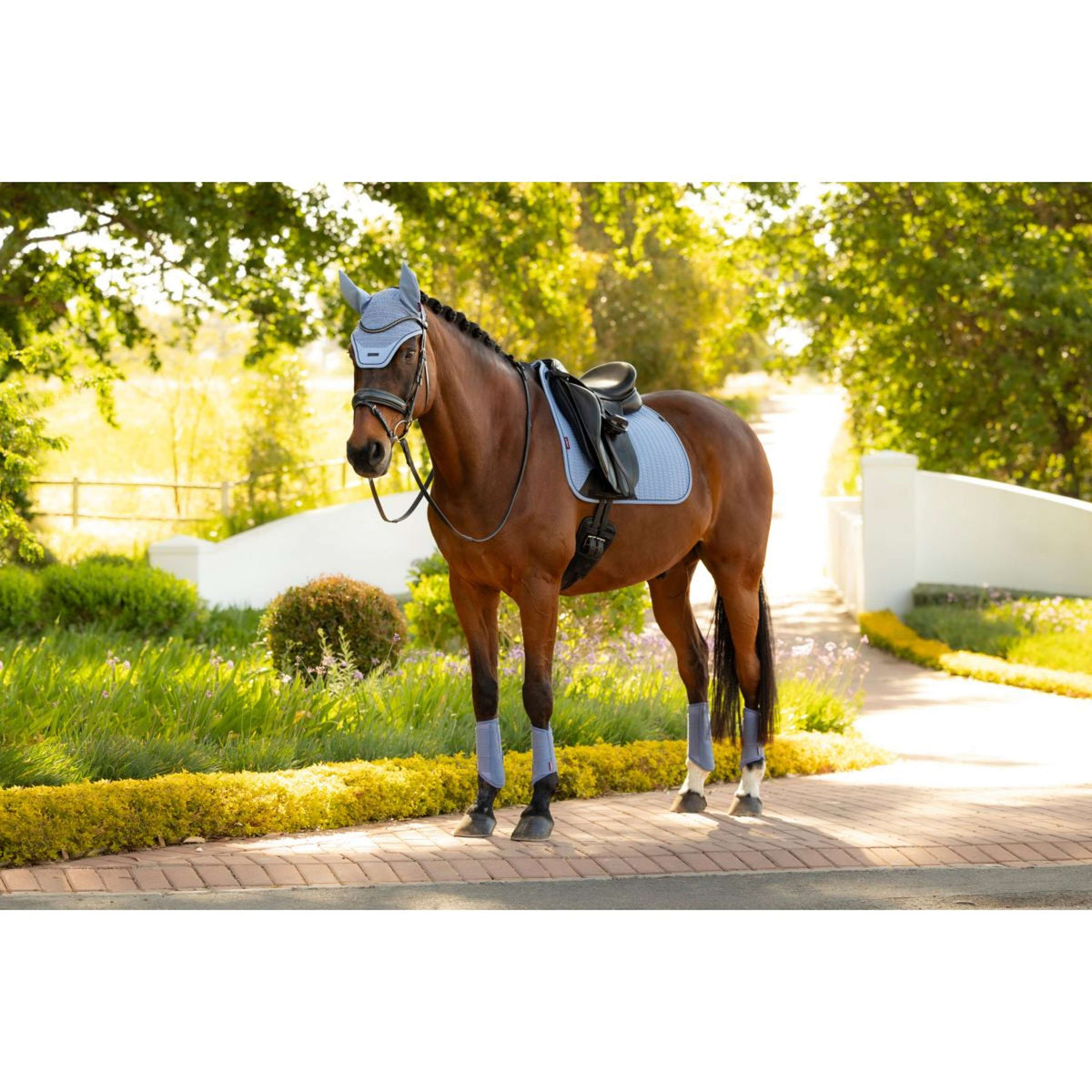 LeMieux Tapis de Selle Essence Square Dressage Powder Blue