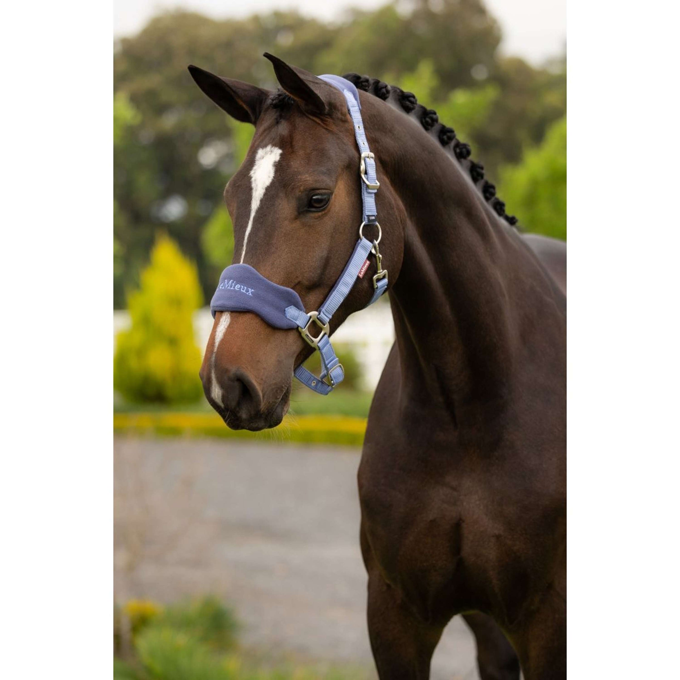 LeMieux Ensemble Licol Vogue Powder Blue