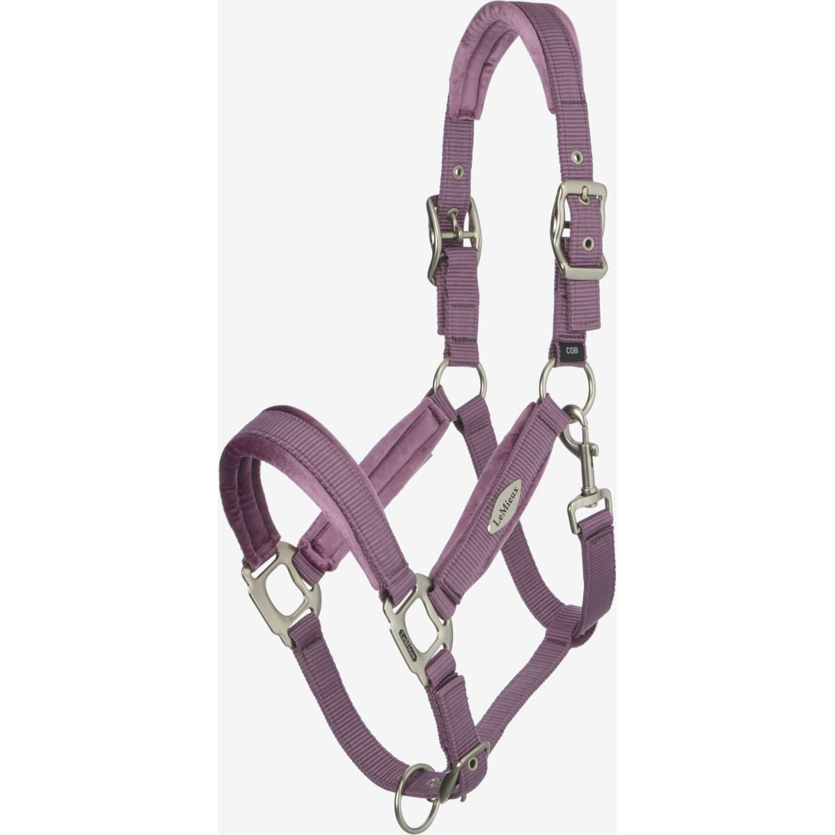 LeMieux Licol Versailles Mallow