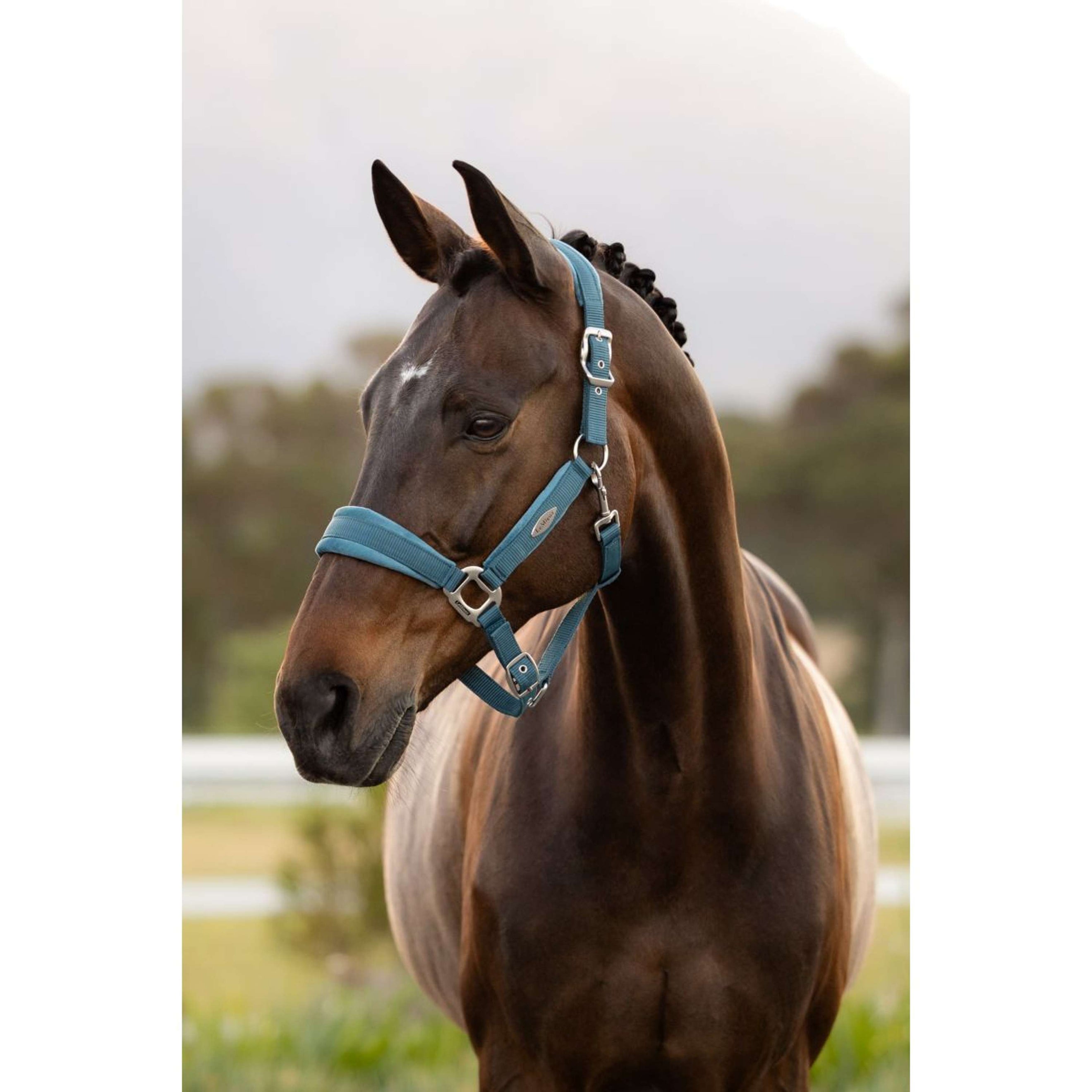 LeMieux Licol Versailles Jungle LeMieux Licol Versailles Jungle