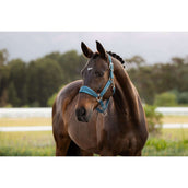 LeMieux Licol Versailles Jungle