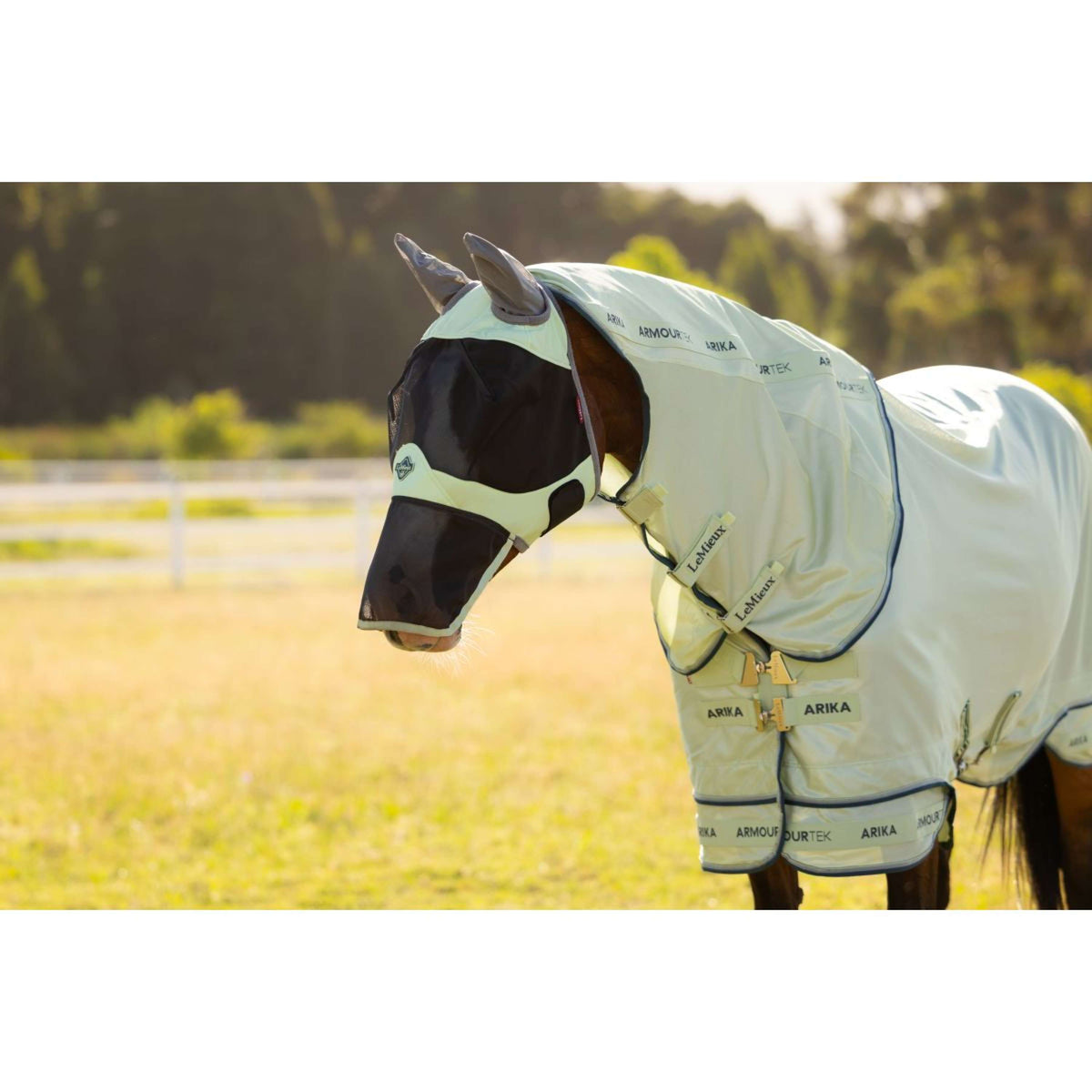 LeMieux Masque Anti-Mouches Visor-Tek Avec Filet Nez Macaron