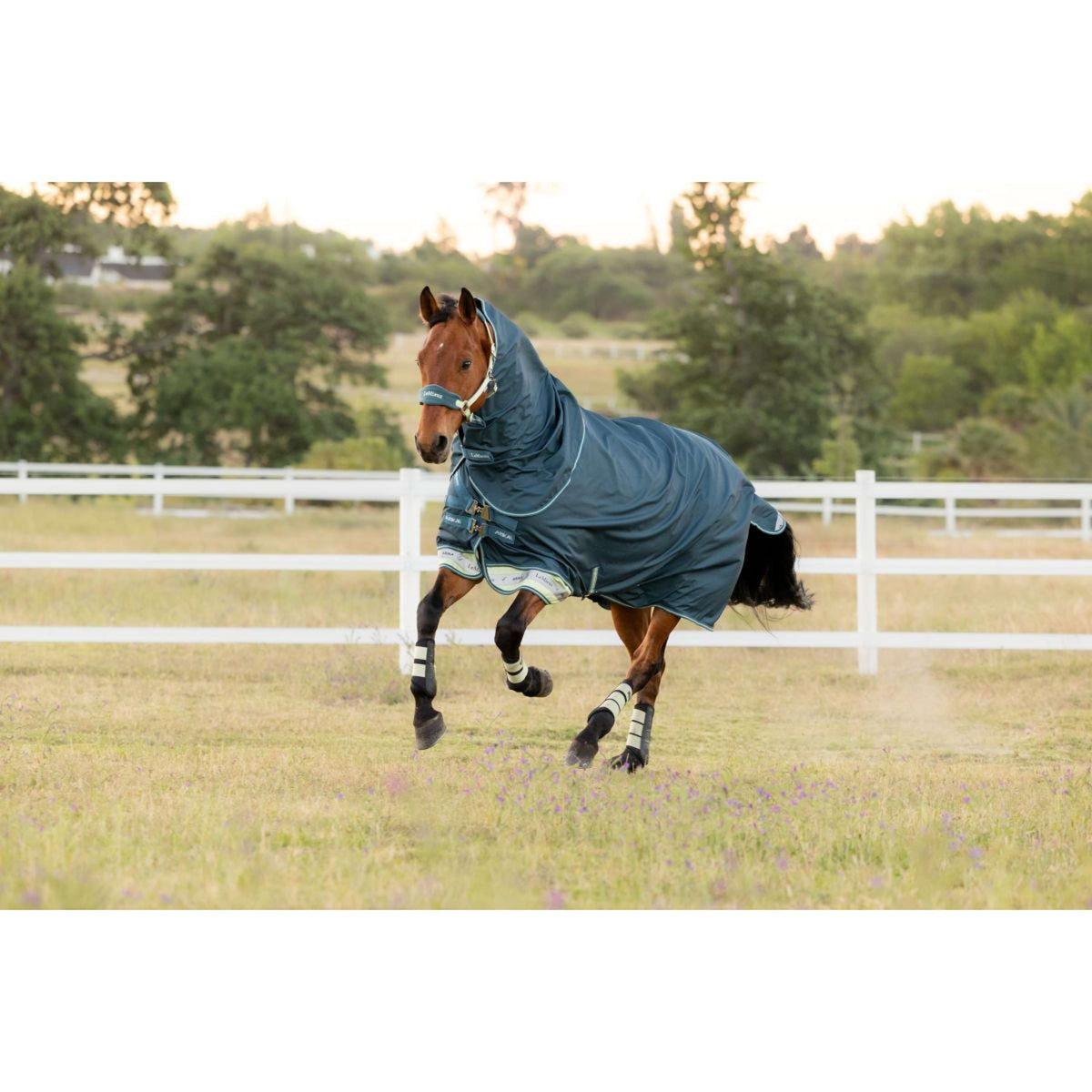 LeMieux Couverture d'Extérieur Arika Ripstop 0g Jungle