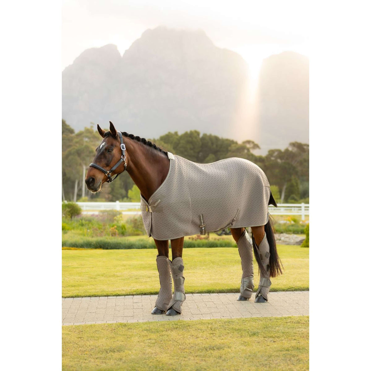 LeMieux Guêtres de Transport Kudos 3D Mesh Pecan