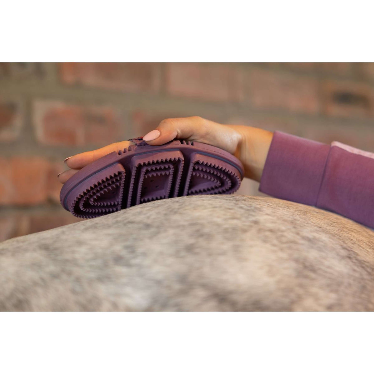 LeMieux Etrille Caoutchouc Flexi Curry Powder Blue