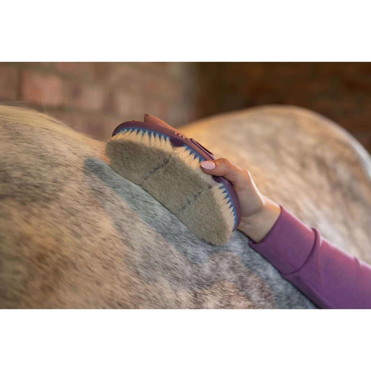 LeMieux Brosse Douce Flexi Poil de Chèvre Powder Blue