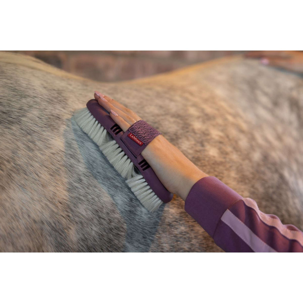 LeMieux Brosse Douce Flexi Poil de Chèvre Powder Blue