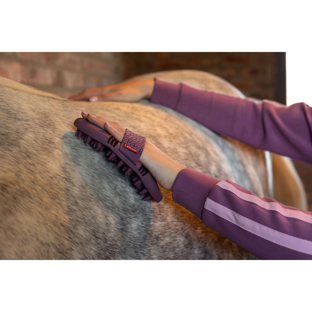LeMieux Brosse de Massage Flexi Powder Blue