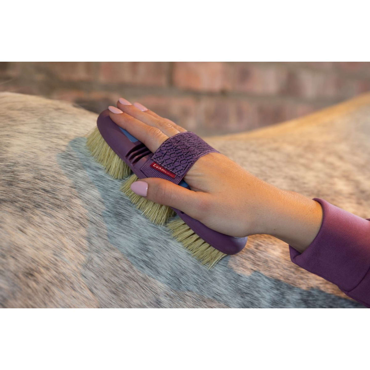 LeMieux Brosse de Toilettage Flexi Scrubbing Powder Blue