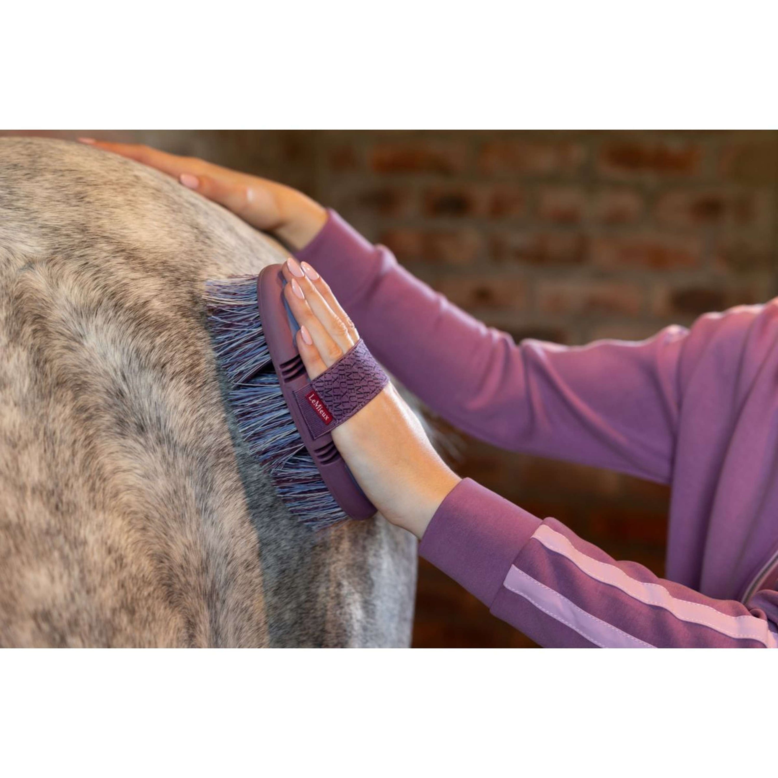 LeMieux Brosse Flexi Flicky Powder Blue