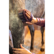 LeMieux Brosse Flexi Flicky Powder Blue