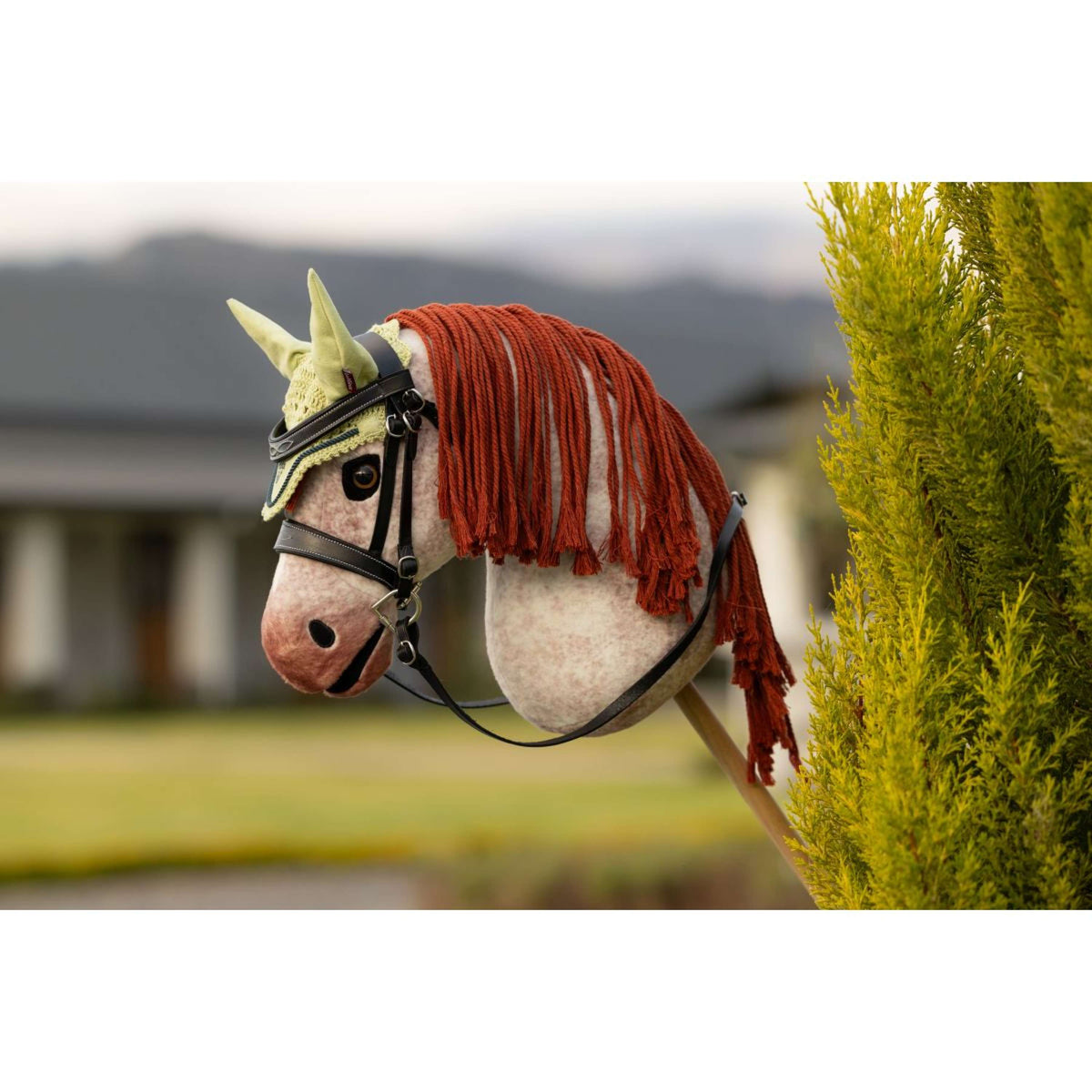 LeMieux Hobby Horse filet d'oreille Macaron