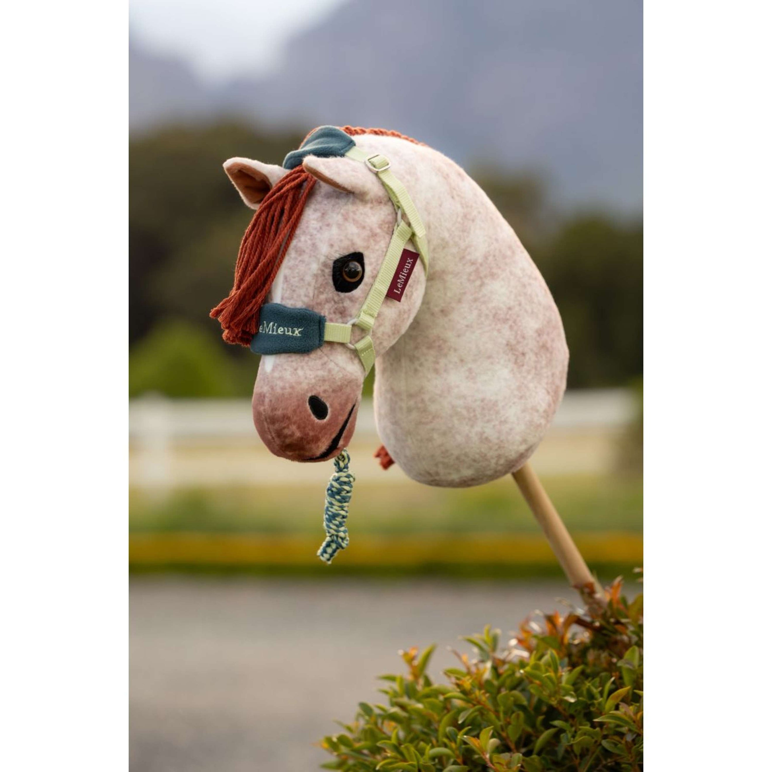 LeMieux Hobby Horse Vogue Licol Macaron