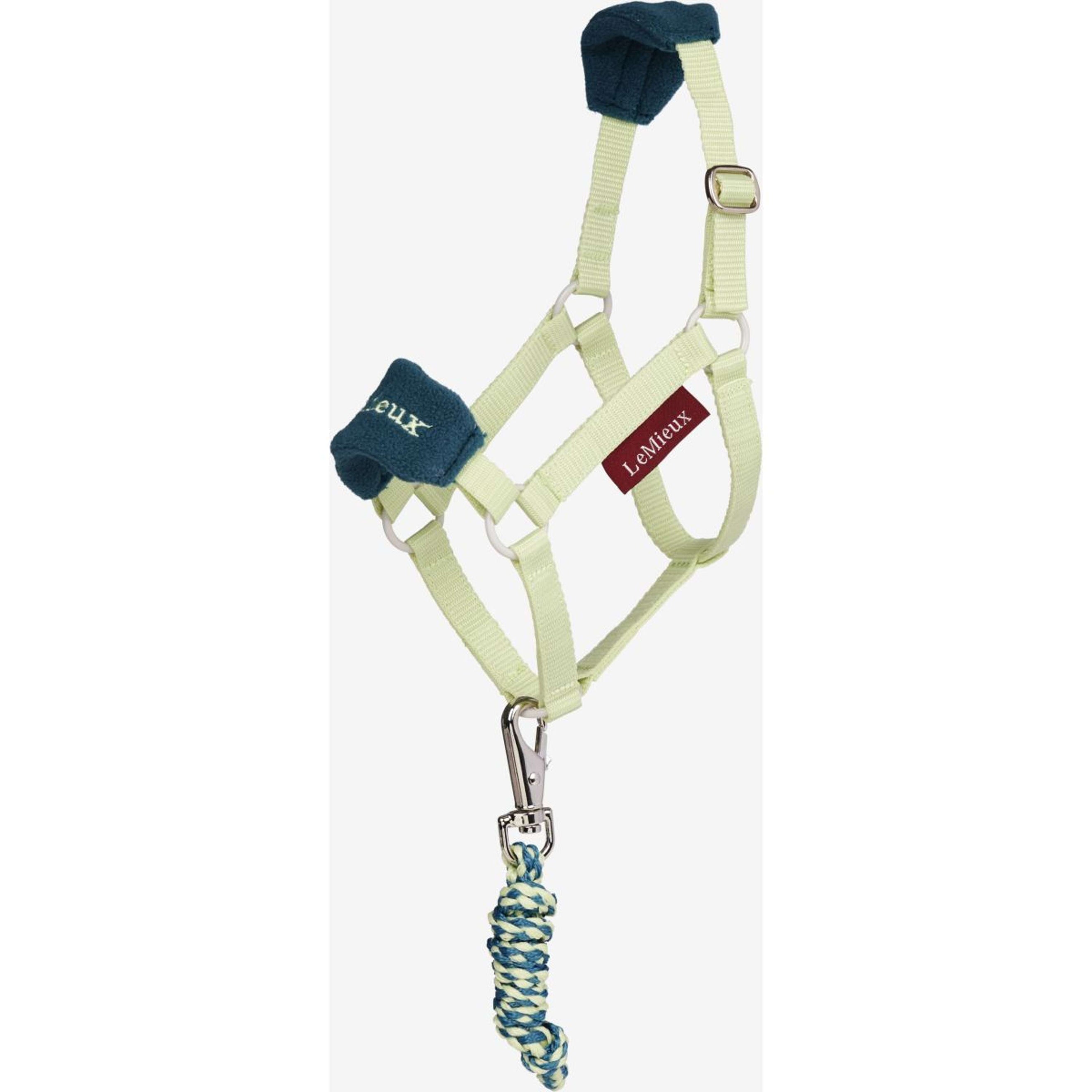 LeMieux Hobby Horse Vogue Licol Macaron