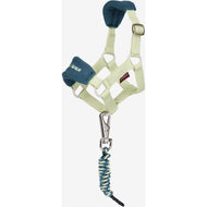 LeMieux Toy Pony Vogue Ensemble Licol Macaron