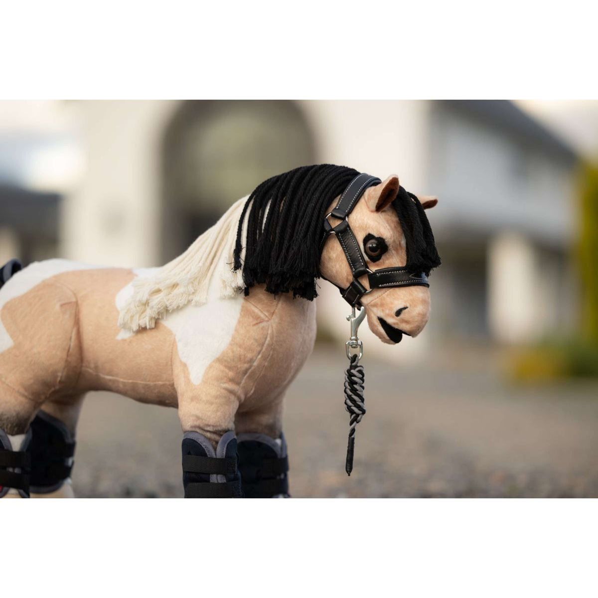 LeMieux Toy Pony Licol Noir