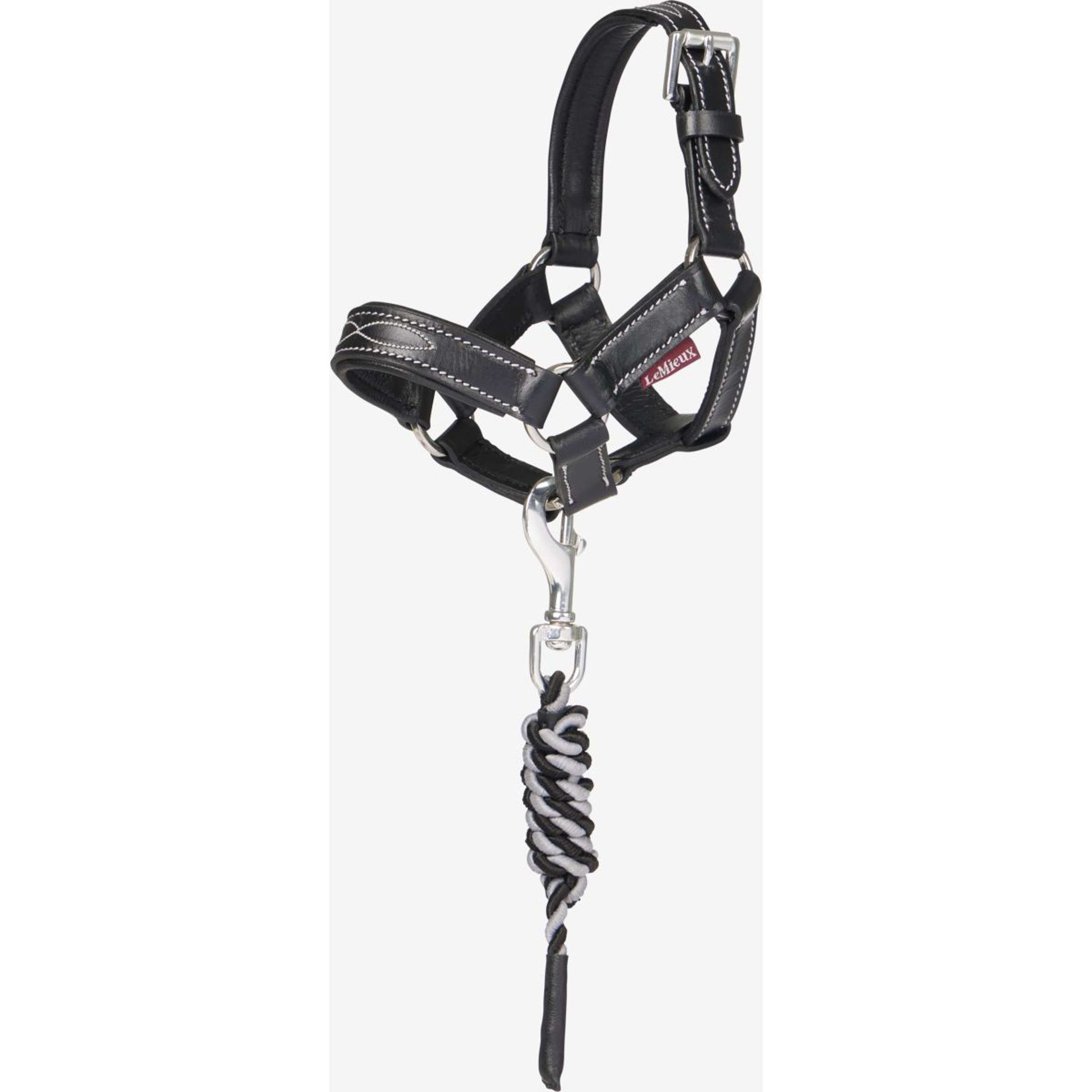 LeMieux Toy Pony Licol Noir