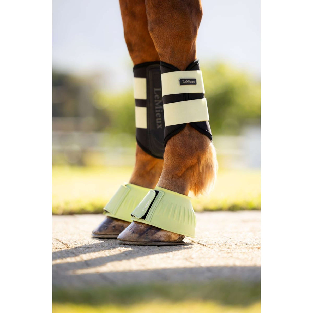 LeMieux Cloches d'Obstacles Rubber Bell Macaron