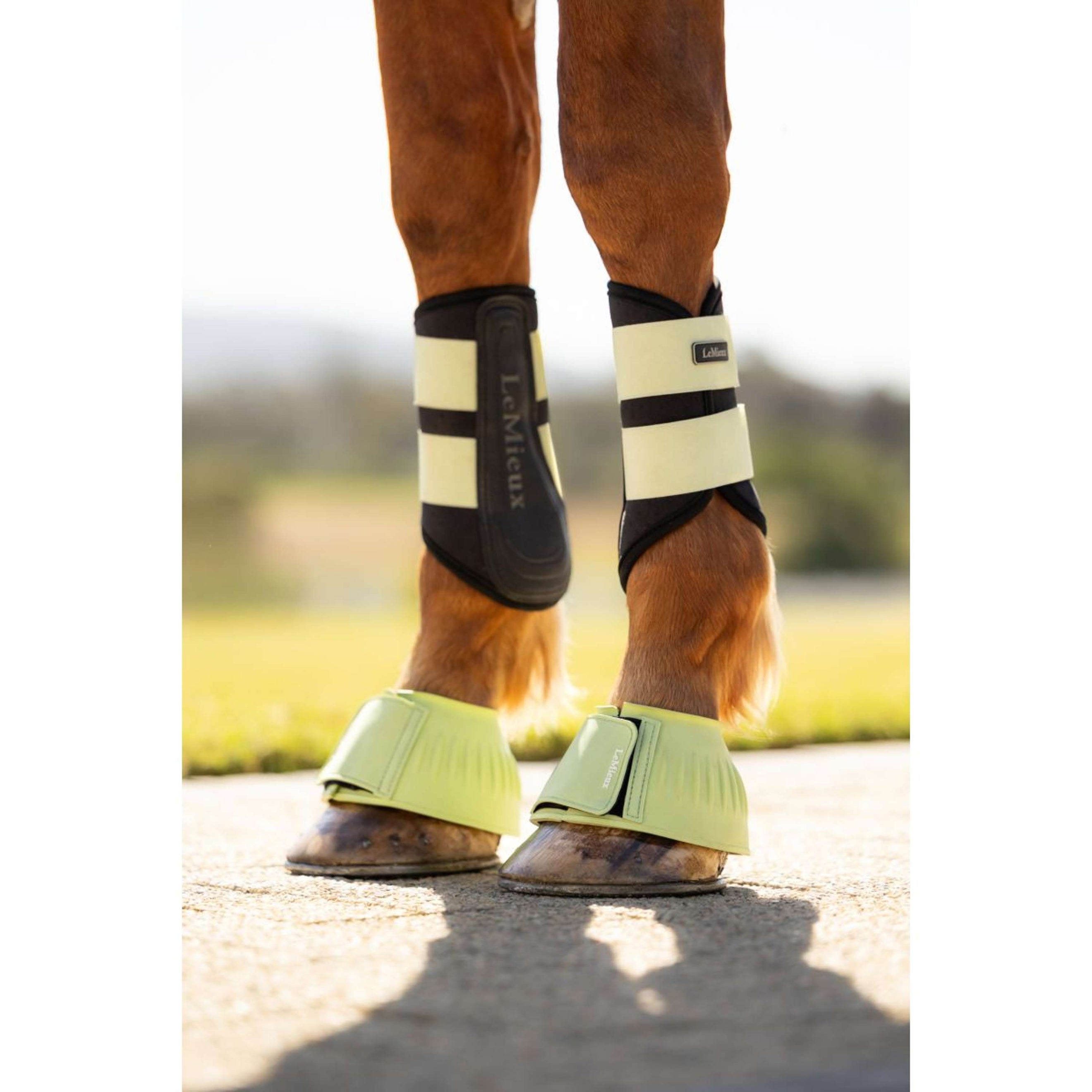 LeMieux Cloches d'Obstacles Rubber Bell Macaron