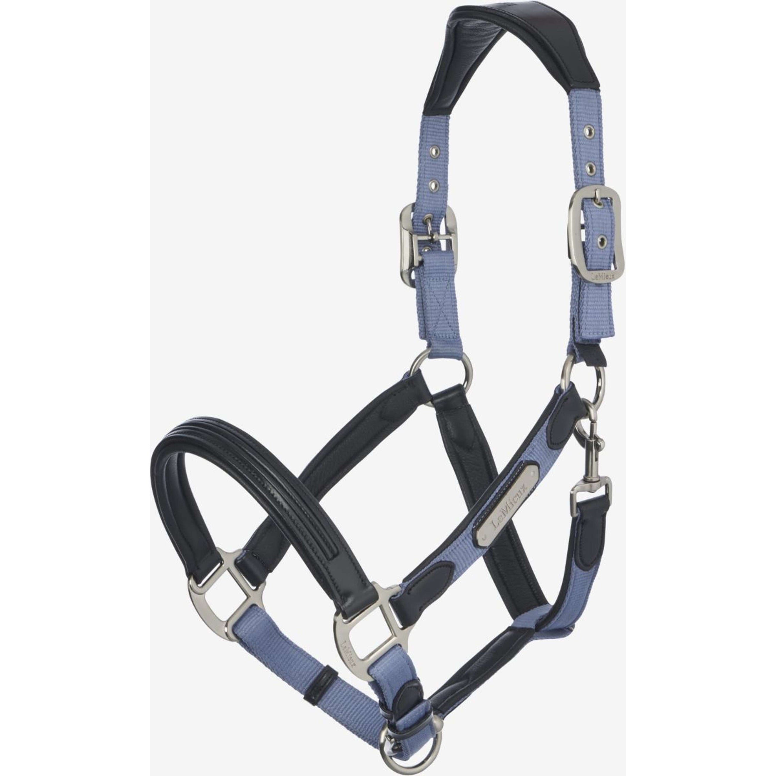 LeMieux Licol Capella Powder Blue