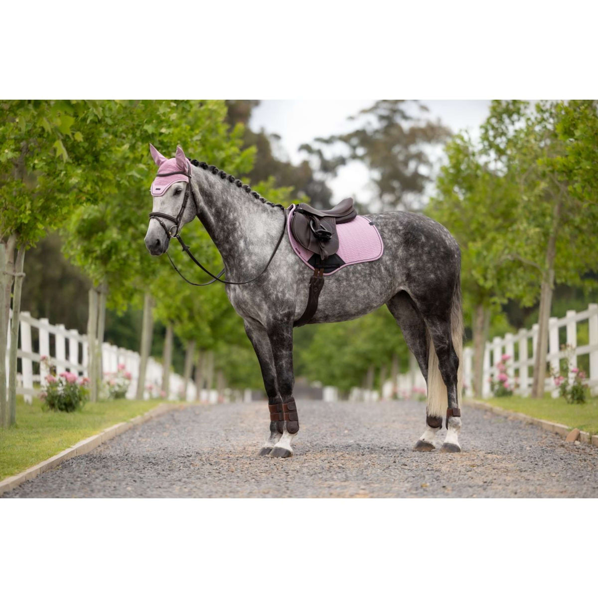 LeMieux Tapis de Selle Essence Close Contact Square de Saut Fondant